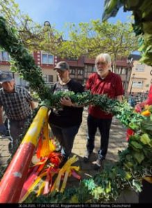 Maibaum 2025